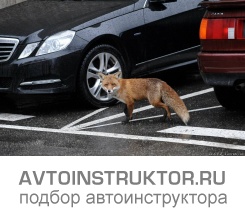 Обучение вождению на автомобиле Mercedes SLK